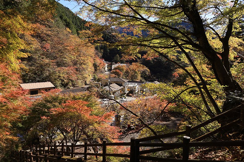 紅葉した山に囲まれる「梅ヶ島温泉」の風景